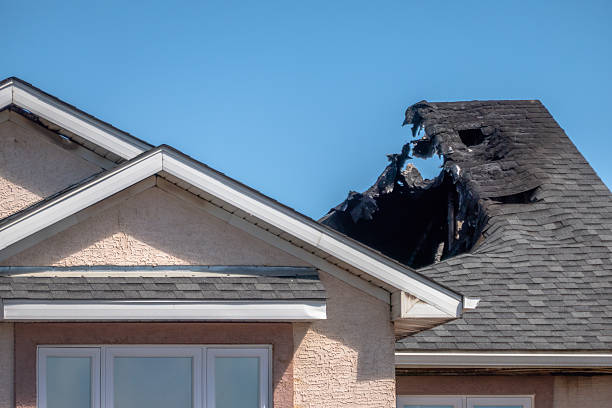 Top rated local Odor Removal specialists in Cranbury, NJ